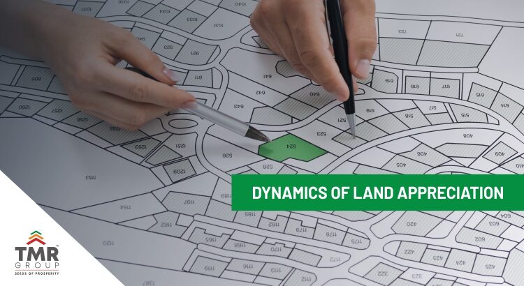 Dynamics of land appreciation